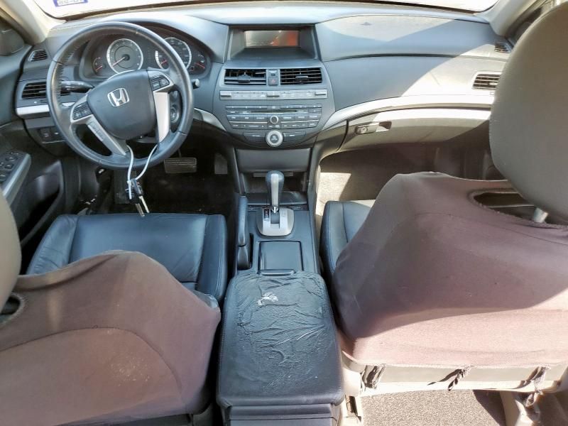 2010 Honda Accord EXL