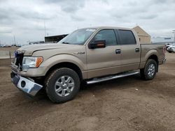 2013 Ford F150 Supercrew for sale in Brighton, CO