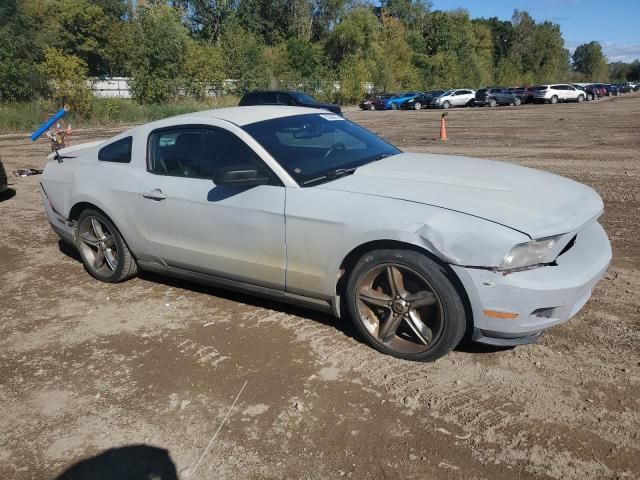 2010 Ford Mustang