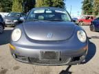 2006 Volkswagen New Beetle Convertible Option Package 2