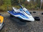 2019 Yamaha FX Cruiser