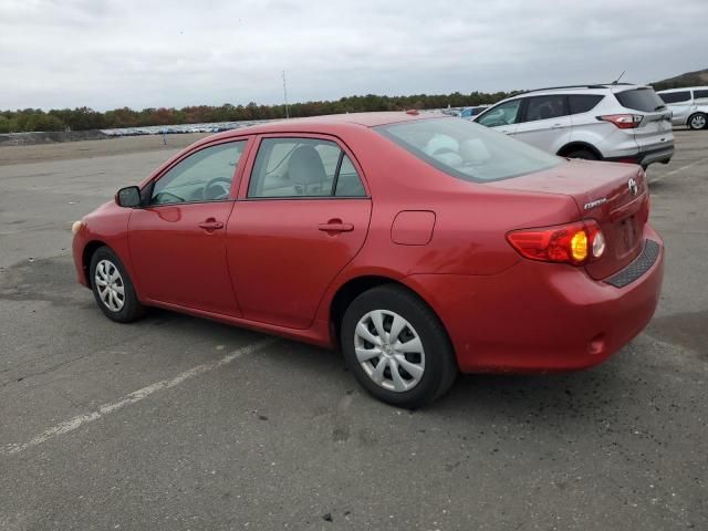 2010 Toyota Corolla Base
