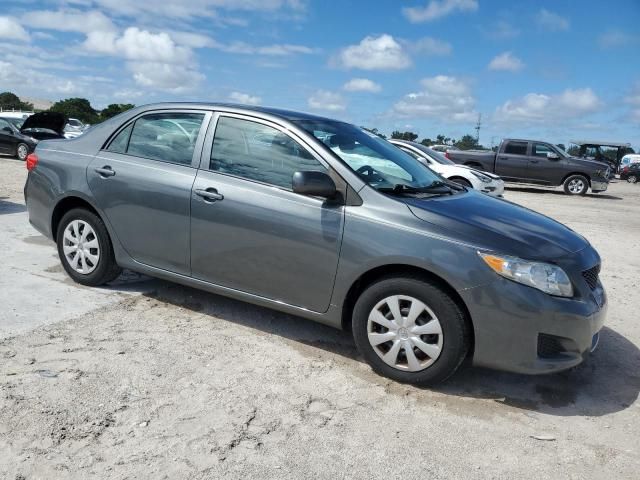2010 Toyota Corolla Base