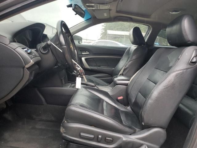 2009 Honda Accord EXL