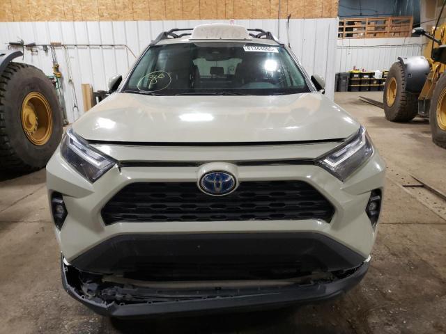 2023 Toyota Rav4 Woodland Edition