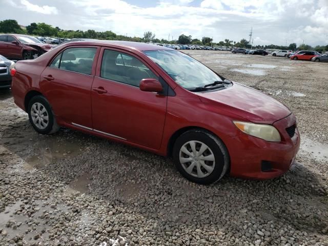 2010 Toyota Corolla Base