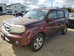 Honda Pilot salvage cars for sale: 2009 Honda Pilot EXL