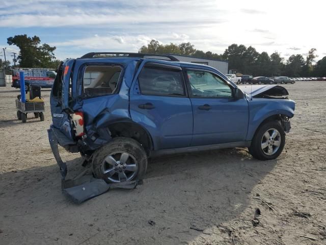 2009 Ford Escape XLT