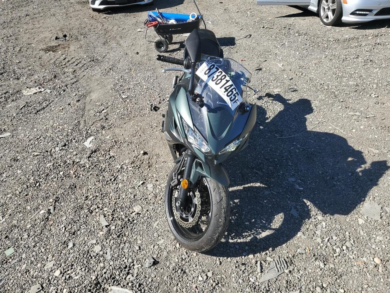 2025 Kawasaki EX650 P