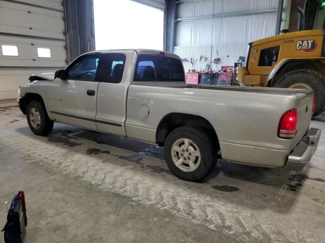 2001 Dodge Dakota
