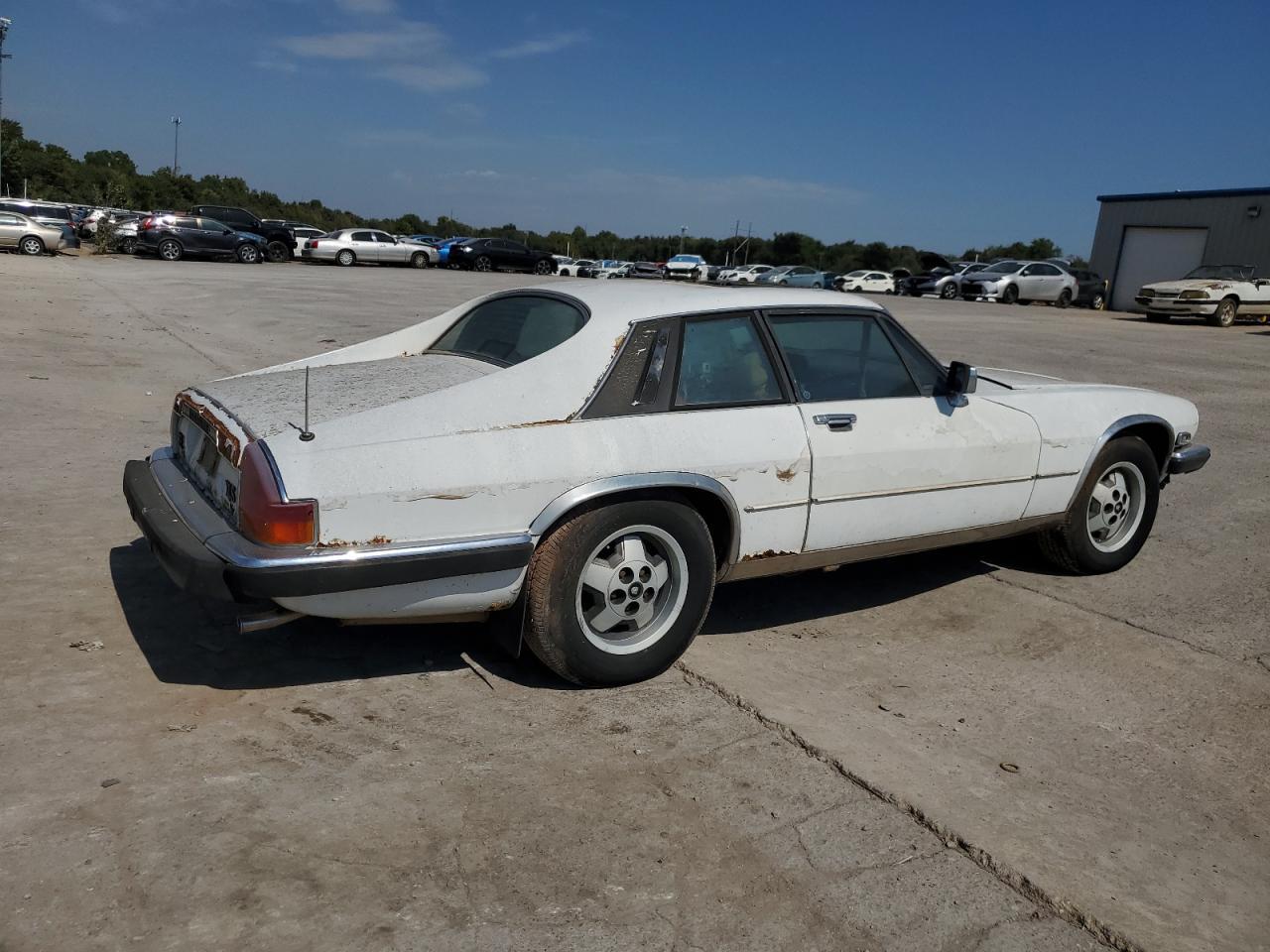 1982 Jaguar XJS