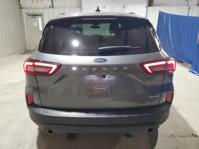 2025 Ford Escape ST Line