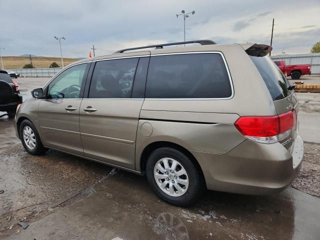2008 Honda Odyssey EXL