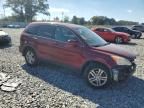 2010 Honda CR-V EXL