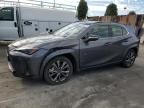 2024 Lexus UX 250H Base