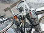 1996 Harley-Davidson Fxsts