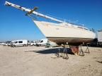 1982 Isla 1982 Other Islander B