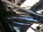 2025 Harley-Davidson Fltrxstse