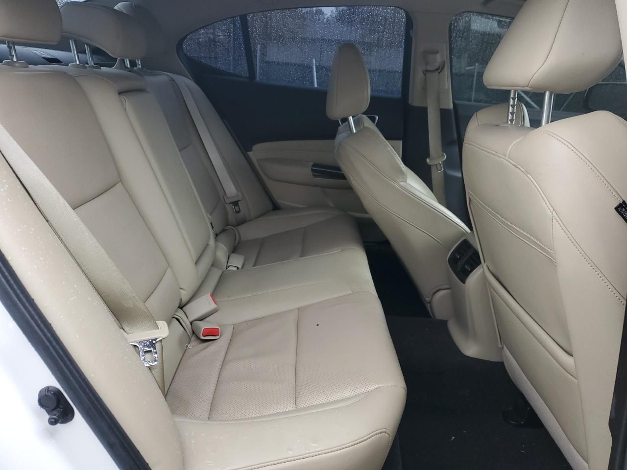 2019 Acura Tlx Technology