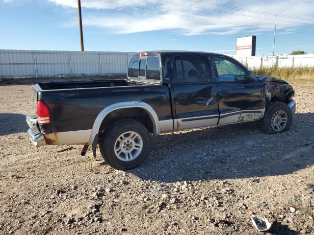 2001 Dodge Dakota Quattro