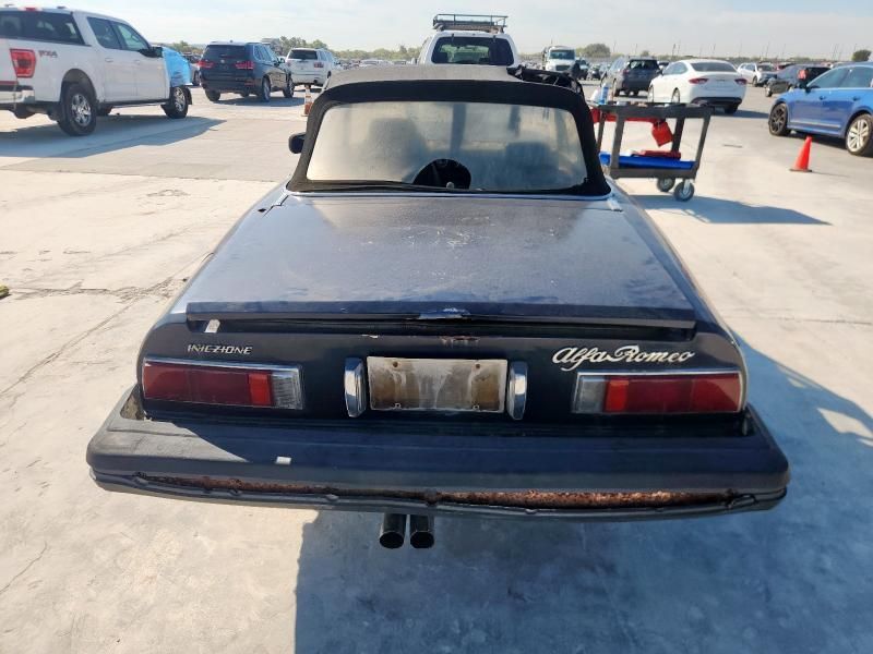 1977 Alfa Romeo Spider