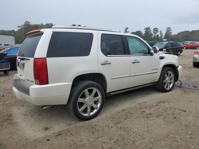 2010 Cadillac Escalade Premium