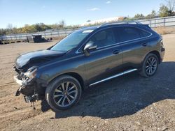 Lexus rx350 salvage cars for sale: 2010 Lexus RX 350