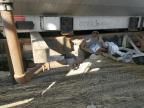 2007 International 4300 Tank Truck
