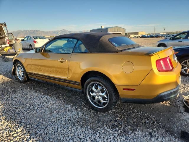2010 Ford Mustang