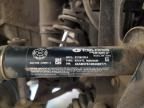 2024 Polaris Sportsman Trail 570
