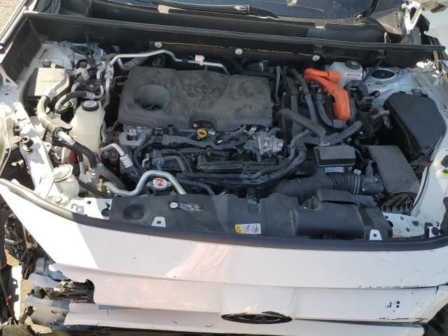 2025 Toyota Rav4 SE