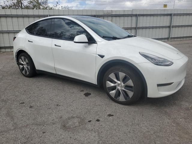 2020 Tesla Model y