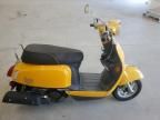 2021 Genuine Scooter Co. Buddy Kick