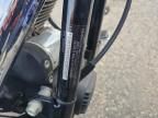 2006 Harley-Davidson Flstfi