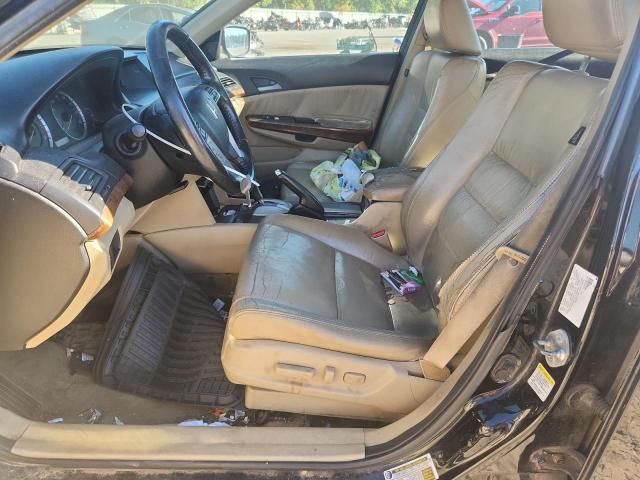 2011 Honda Accord EXL