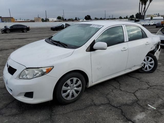 2010 Toyota Corolla Base