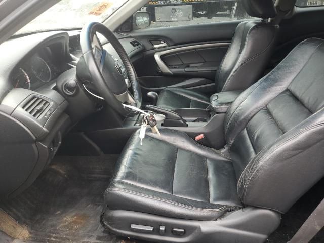 2010 Honda Accord EXL