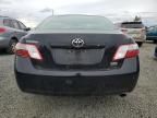 2008 Toyota Camry Hybrid