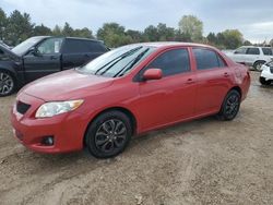 2010 Toyota Corolla Base for sale in Elgin, IL
