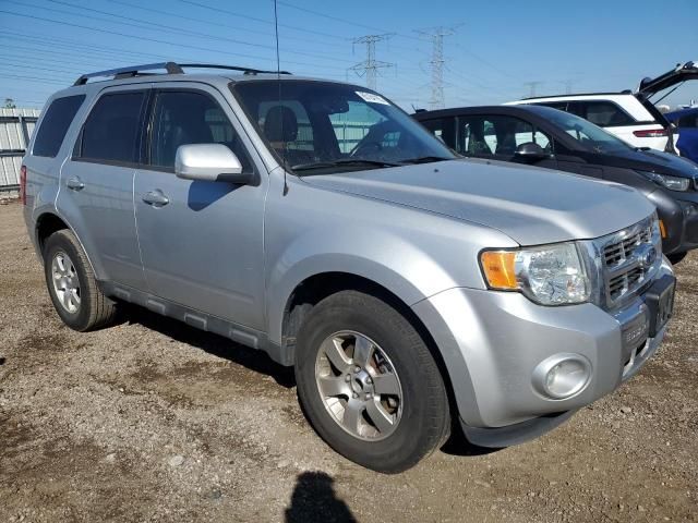 2012 Ford Escape Limited