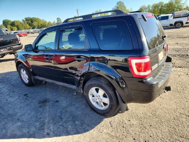 2010 Ford Escape XLT