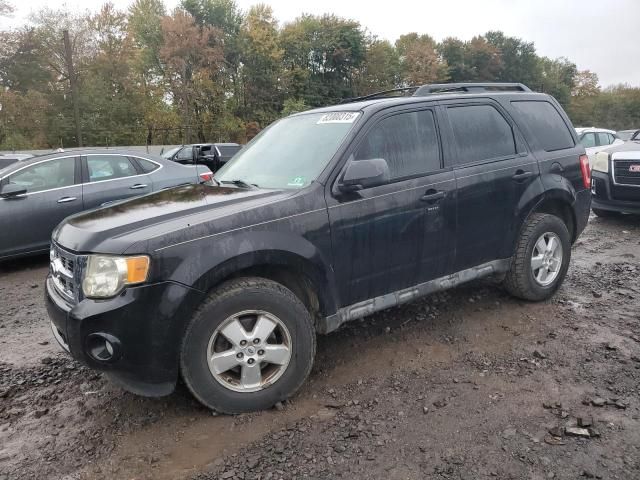 2010 Ford Escape XLT
