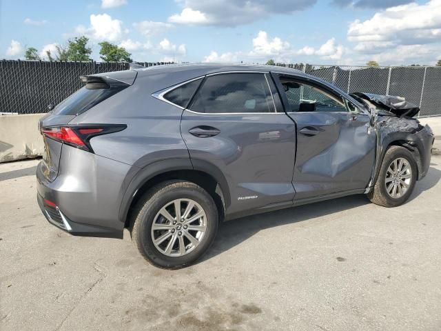 2020 Lexus NX 300H