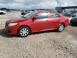 2010 Toyota Corolla Base for sale in West Palm Beach, FL
