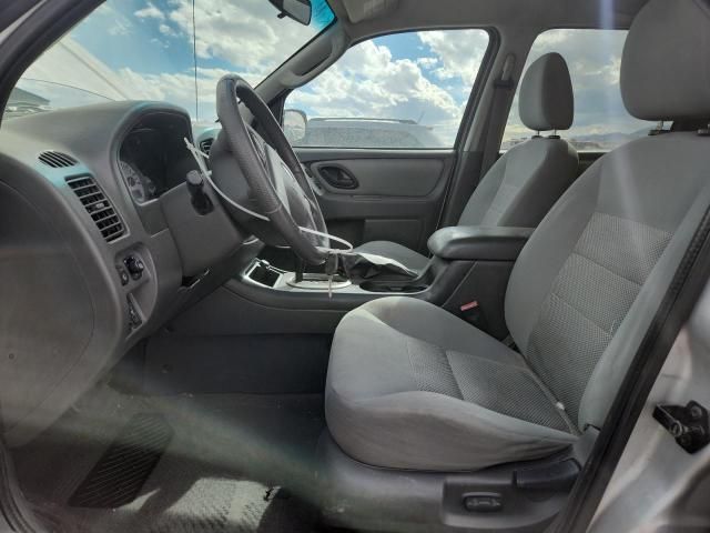 2005 Ford Escape XLT