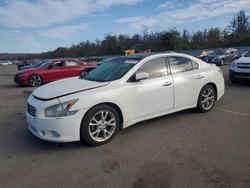 Nissan Maxima salvage cars for sale: 2014 Nissan Maxima s
