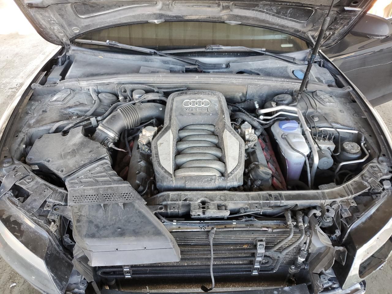 2010 Audi S5 Premium Plus