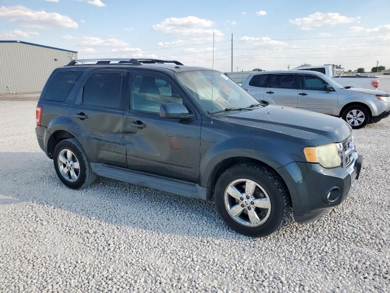 2009 Ford Escape Limited