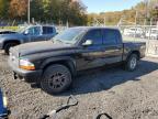 2004 Dodge Dakota Quad Sport