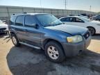 2005 Ford Escape XLT